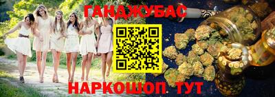 спиды Дубна