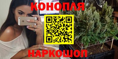 крисы Изобильный