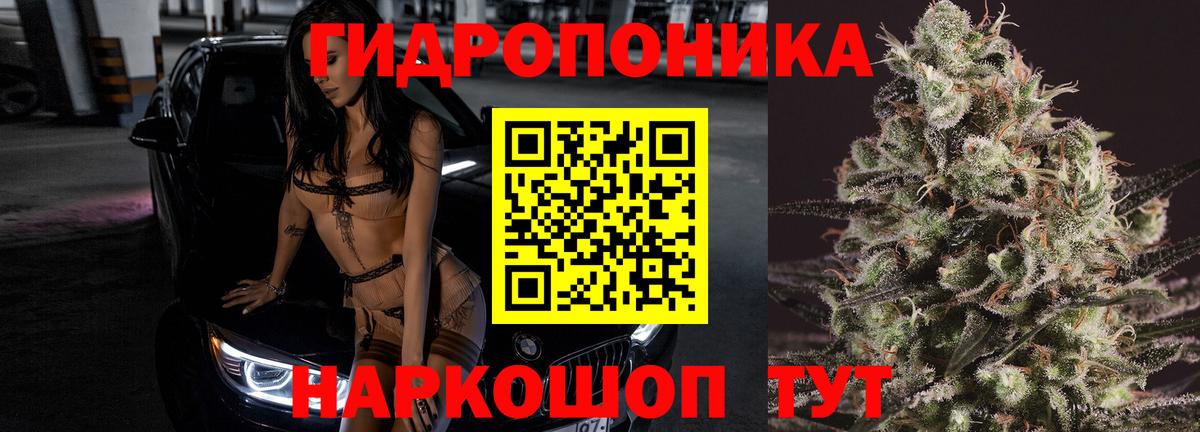 Новокуйбышевск  Каннабис Ganja  Вход с VPN  Бошки марихуана Ganja  Канабис план 